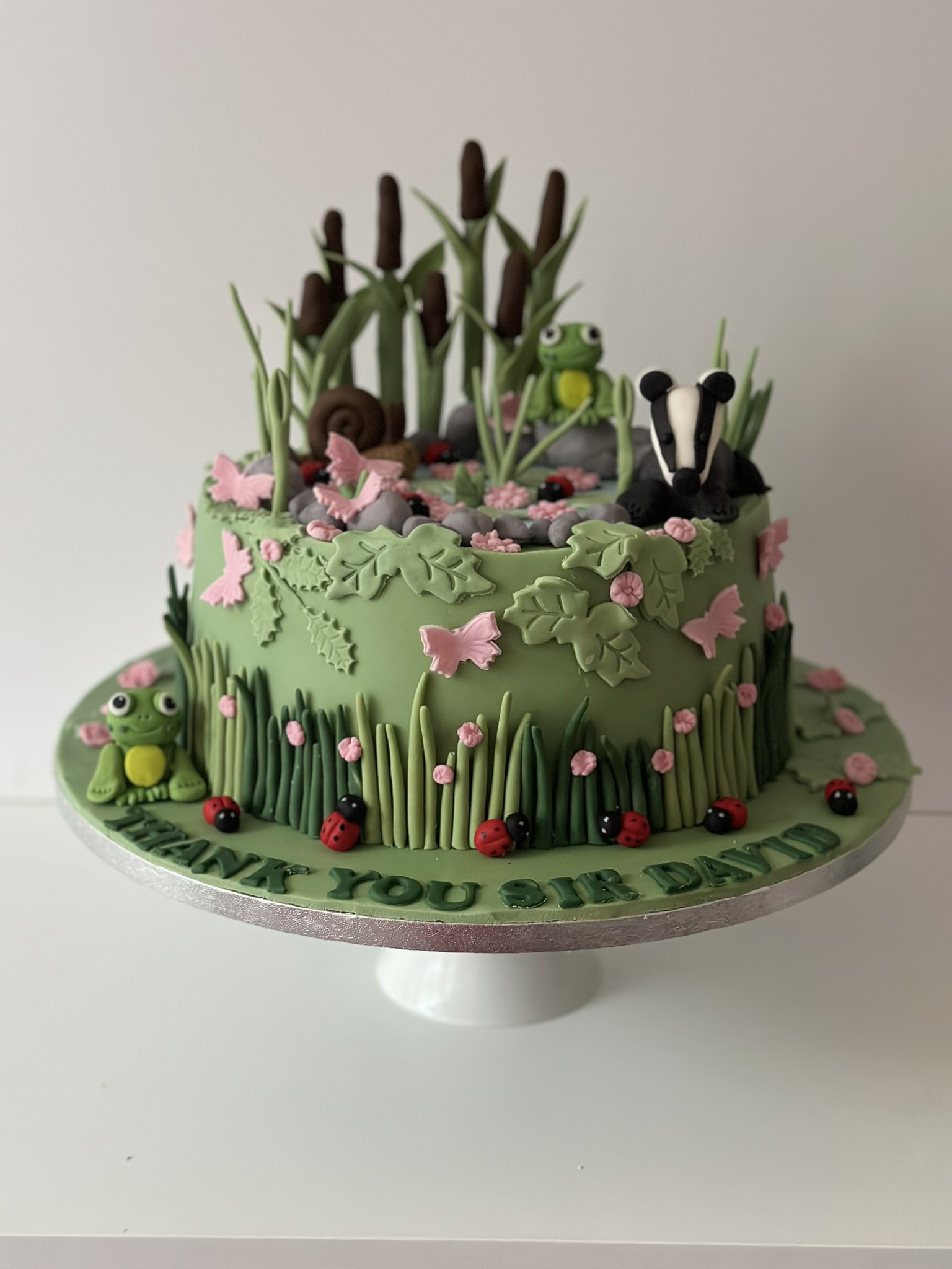 Thank You Sir David nature wildlife cake